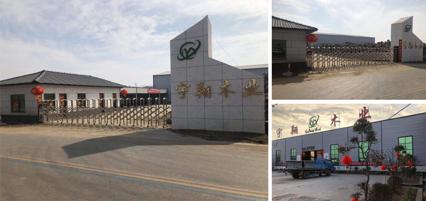 1618541769561376.jpg a.jpg